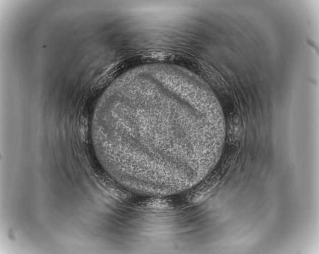 X0000094940656200712201116