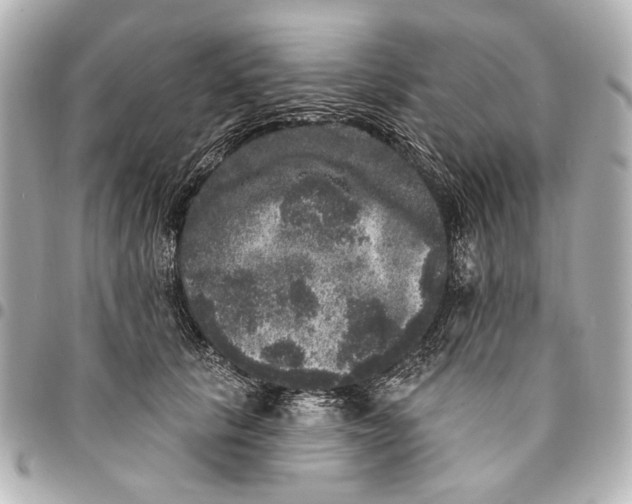 X0000094940657200712201116