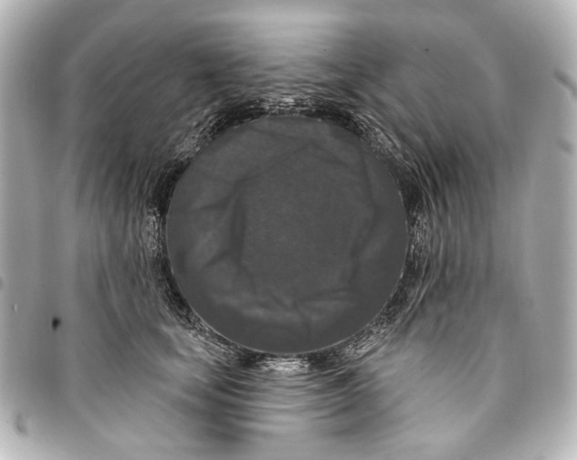 X0000094940659200712201116