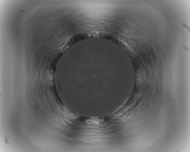 X0000094940661200712201116