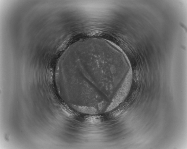 X0000094940664200712201116