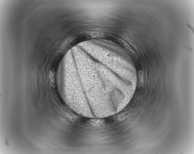 X0000094940667200712201116