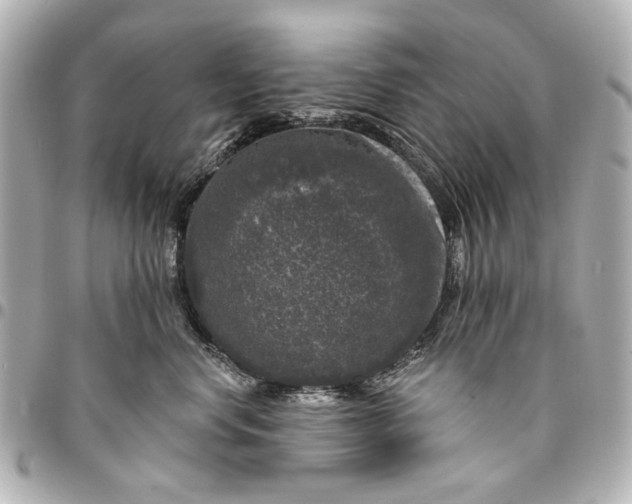 X0000094940668200712201116