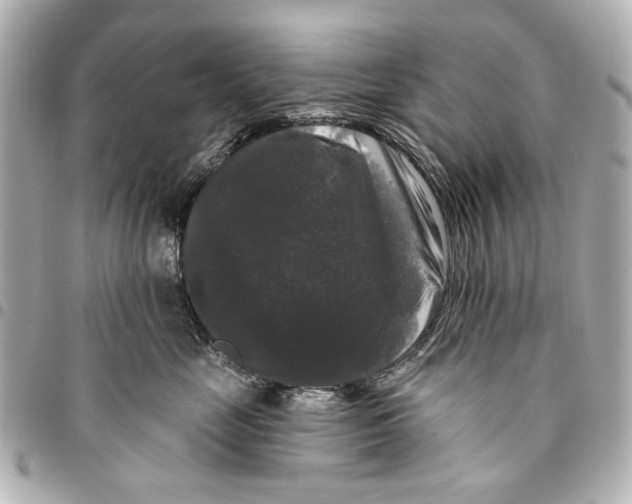 X0000094940669200712201116