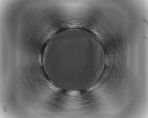 X0000094940670200712201116