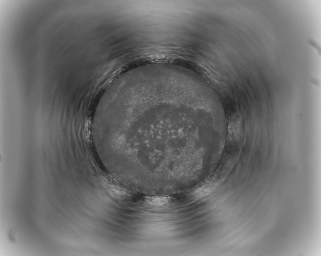 X0000094940671200712201116