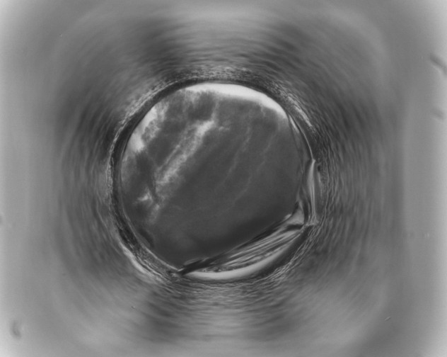 X0000094940674200712201115