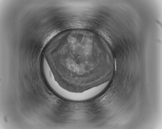 X0000094940675200712201115