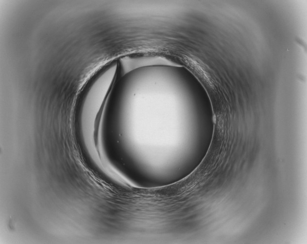 X0000094940676200712201115