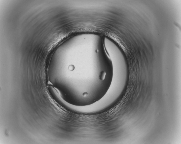 X0000094940677200712201115