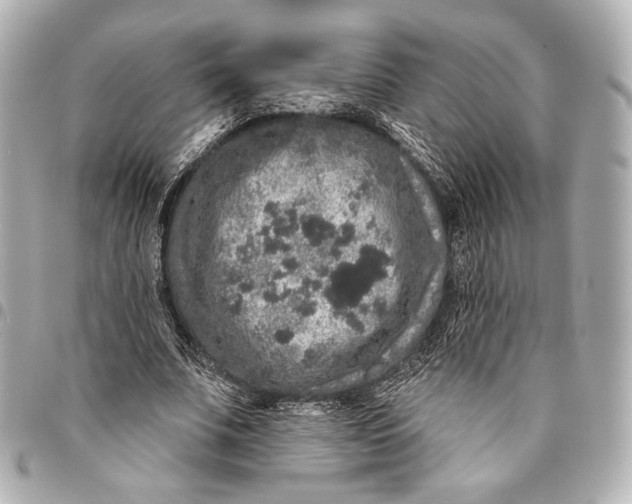 X0000094940679200712201115