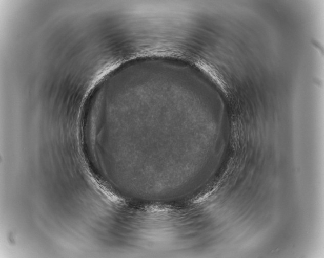 X0000094940680200712201115