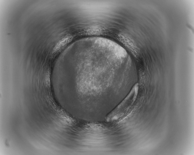 X0000094940681200712201115