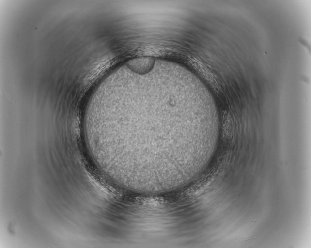 X0000094940683200712201115