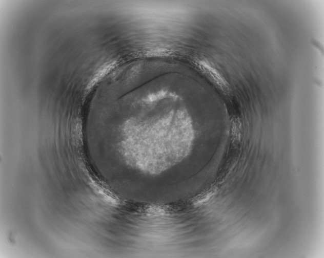 X0000094940684200712201115