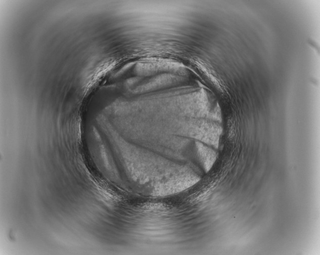 X0000094940685200712201115