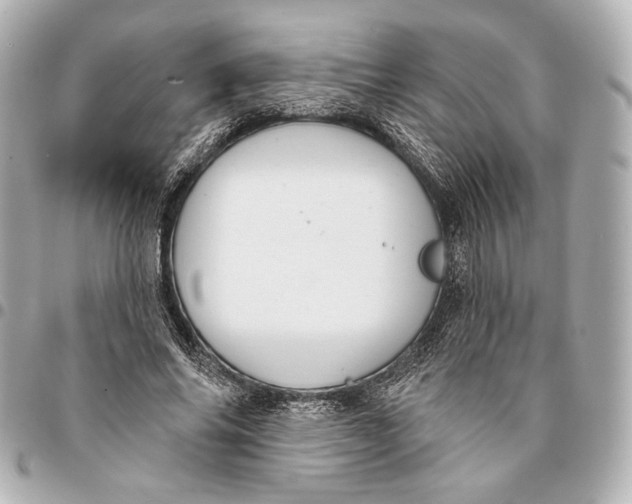 X0000094940686200712201115