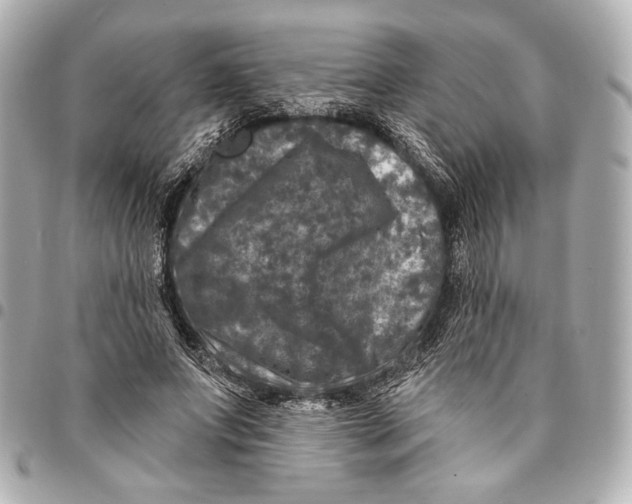 X0000094940687200712201115