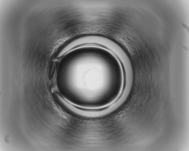 X0000094940688200712201115