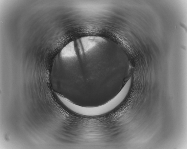 X0000094940689200712201115