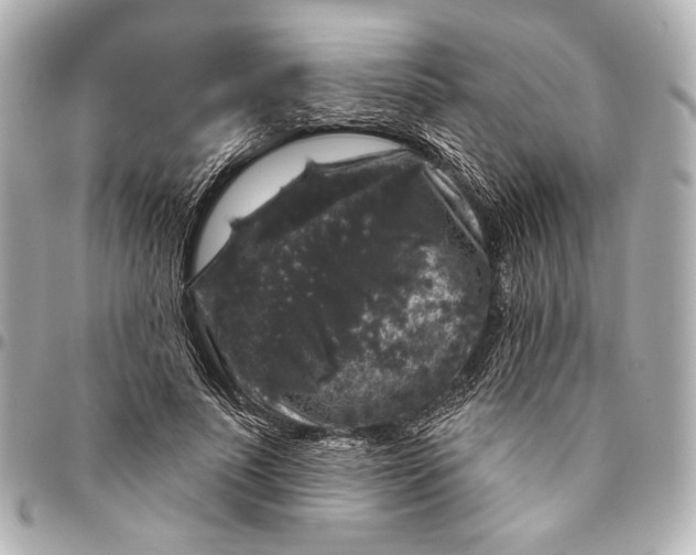 X0000094940691200712201115