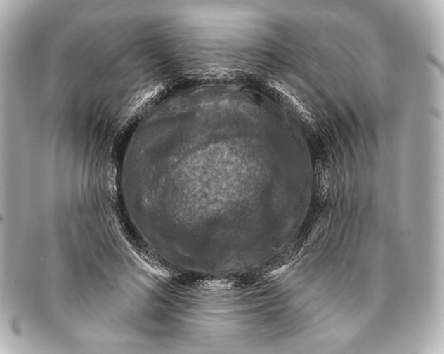 X0000094940692200712201115