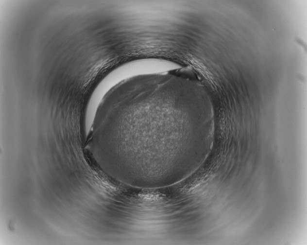 X0000094940693200712201115