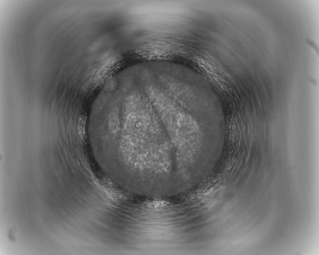 X0000094940695200712201115