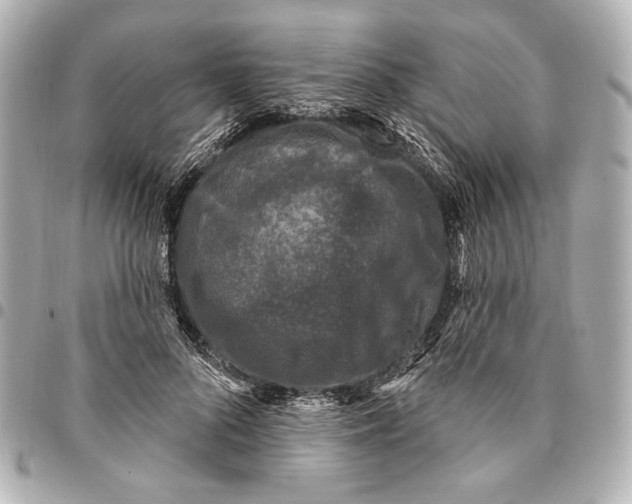 X0000094940696200712201115