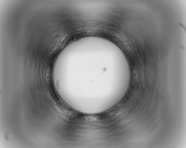 X0000094940698200712201115