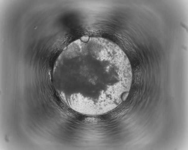 X0000094940699200712201115