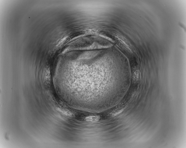 X0000094940700200712201115