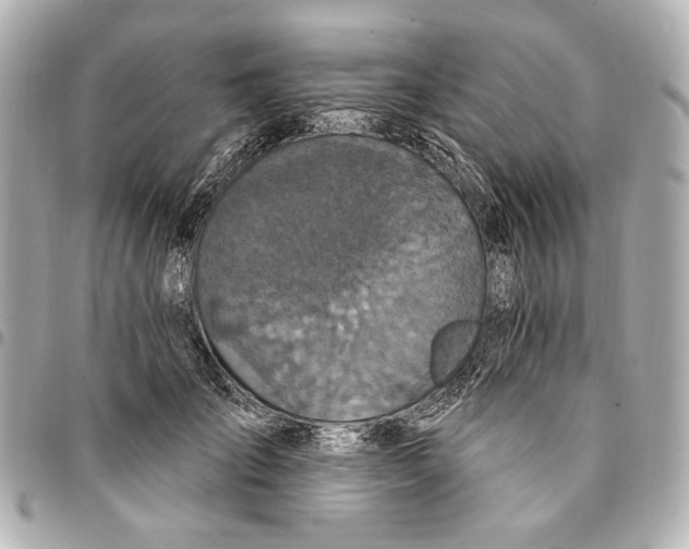 X0000094940701200712201115