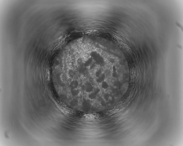 X0000094940703200712201115