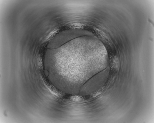 X0000094940704200712201115