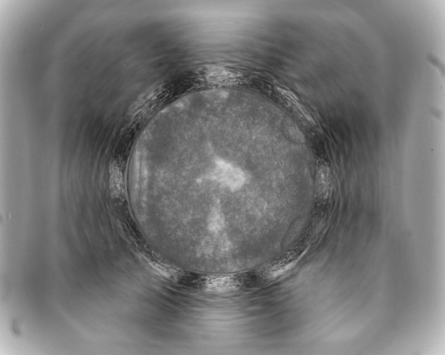 X0000094940705200712201115