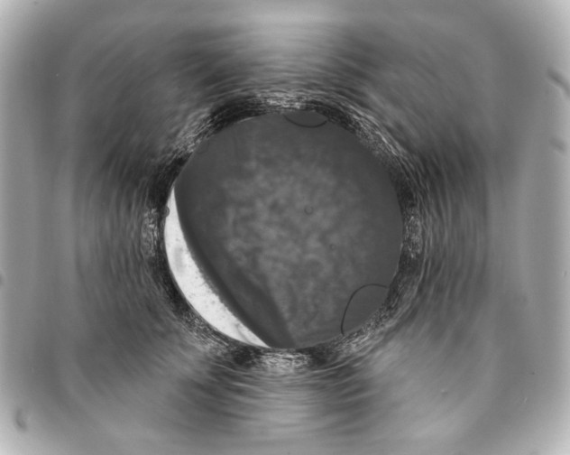 X0000094940707200712201115