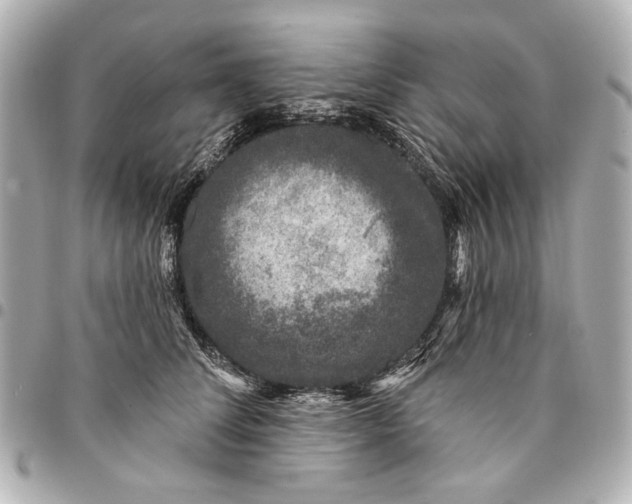 X0000094940708200712201115