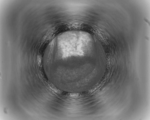 X0000094940709200712201115