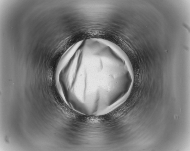 X0000094940710200712201115