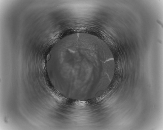 X0000094940711200712201115