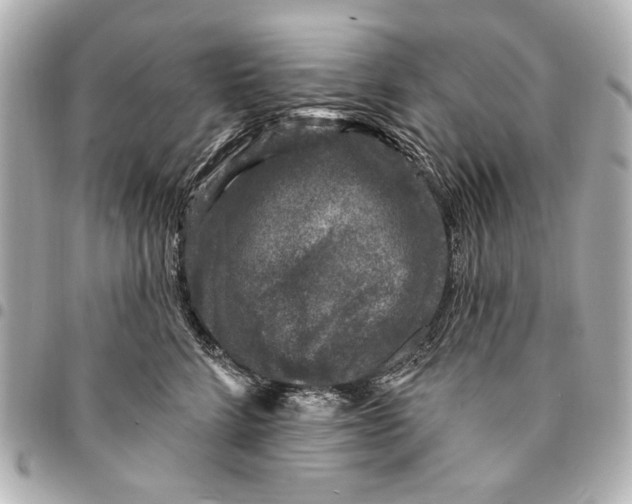 X0000094940712200712201115