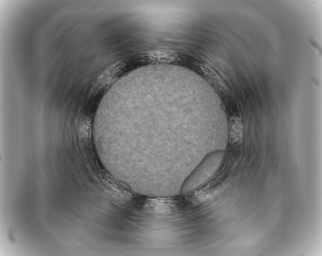 X0000094940713200712201115