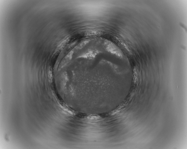 X0000094940716200712201115