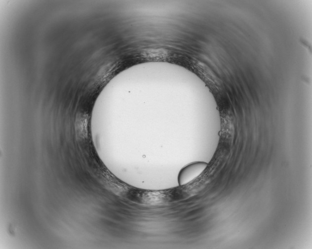 X0000094940717200712201115