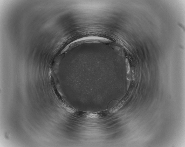 X0000094940718200712201115