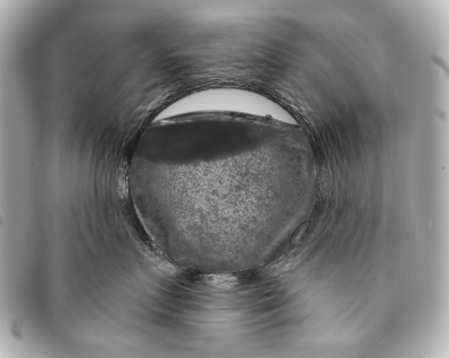 X0000094940719200712201115