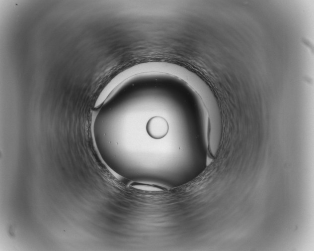 X0000094940720200712201115