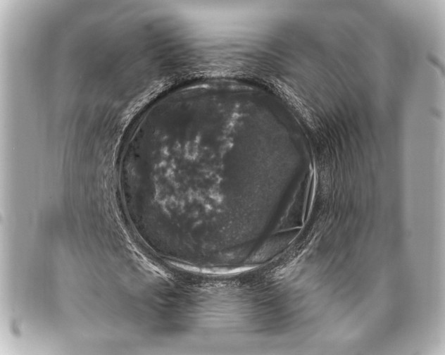 X0000094940721200712201114