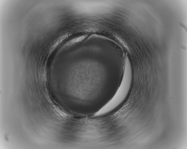 X0000094940722200712201114